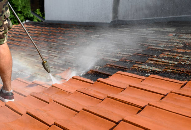 Best Roof Pressure Washing  in Calico Rock, AR